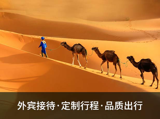 银川逐西国际旅行社