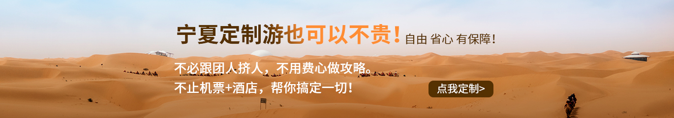 定制游