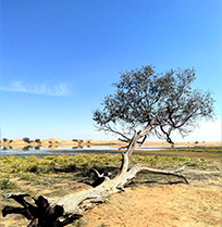 银川逐西国际旅行社旅行照片