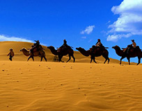 银川逐西国际旅行社旅行照片