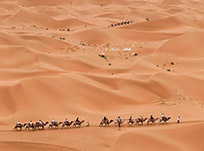银川逐西国际旅行社旅行照片