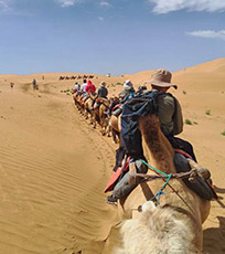 银川逐西国际旅行社旅行照片