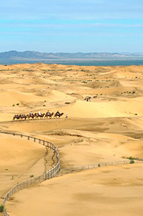 银川逐西国际旅行社旅行照片