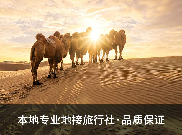 银川逐西国际旅行社团队