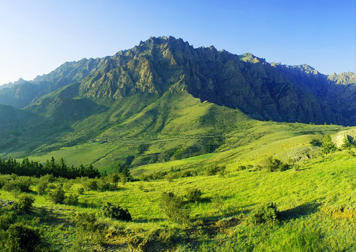 贺兰山森林公园