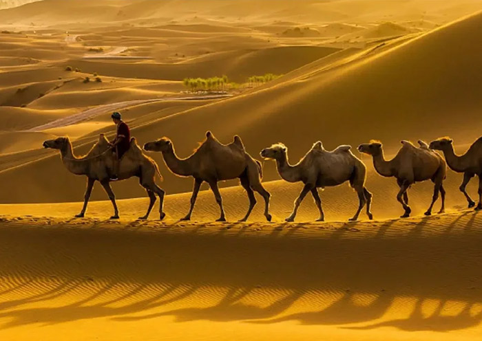 黄沙古渡原生态